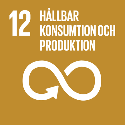 12 Hållbar konsumtion och produktion