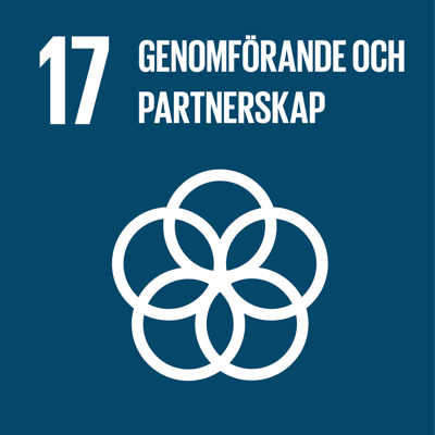 17 Genomförande och globalt partnerskap 17 Genomförande och globalt partnerskap